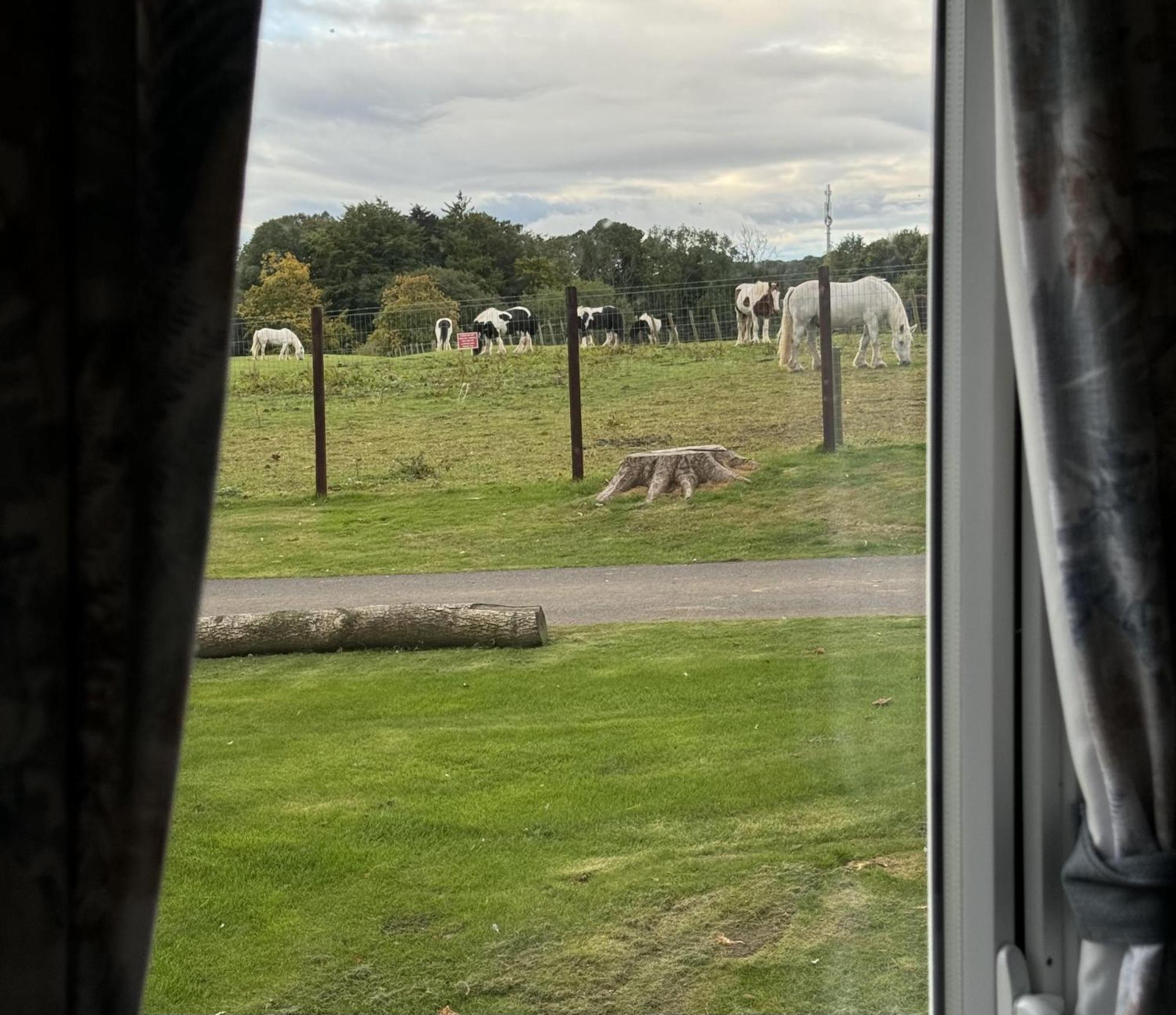 Pony Gate Caravan On Haggerstone Castle West Lawn Berwick Upon Tweed Exteriér fotografie